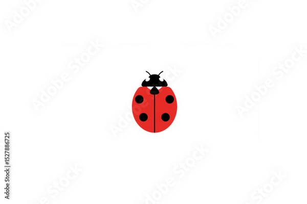 Obraz cute ladybug illustration isolated on white background