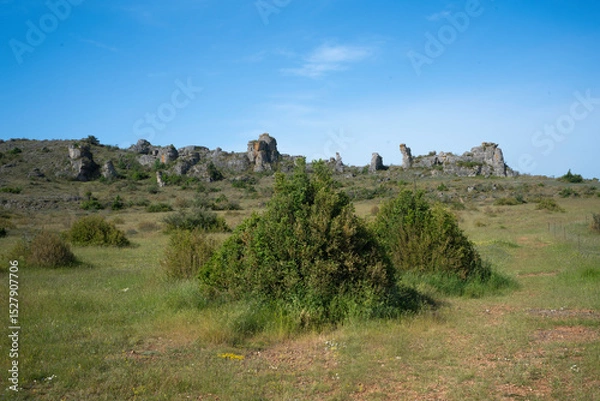 Obraz Plateau du Larzac, causse du Larzac, parc naturel régional des Grands Causses, 12, Aveyron, France