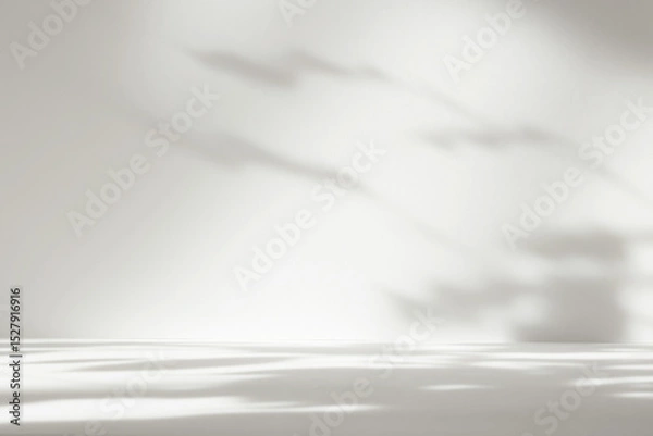 Fototapeta Abstract white color gradient studio background for product presentation. Empty room with shadows of window and flowers and plant leaves . 3d grey room with copy space. Blurred backdrop.