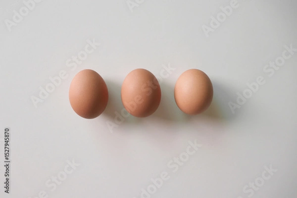 Fototapeta 줄세워진 신선한 계란