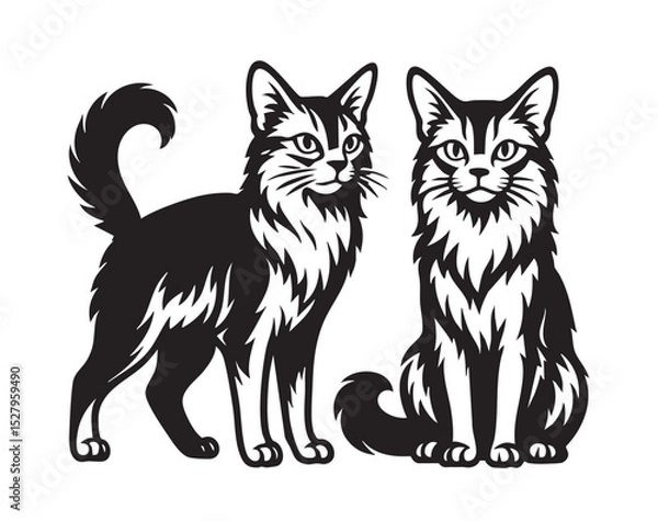 Obraz Black and white illustration of two elegant Somali cats, one standing and one sitting. Pet.