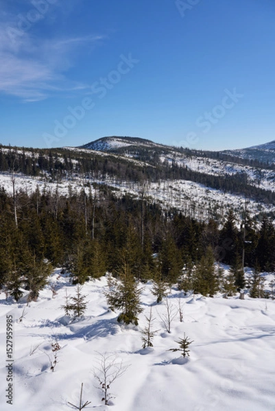 Fototapeta View to Beskids on European Bialy Krzyz in Poland - vertical