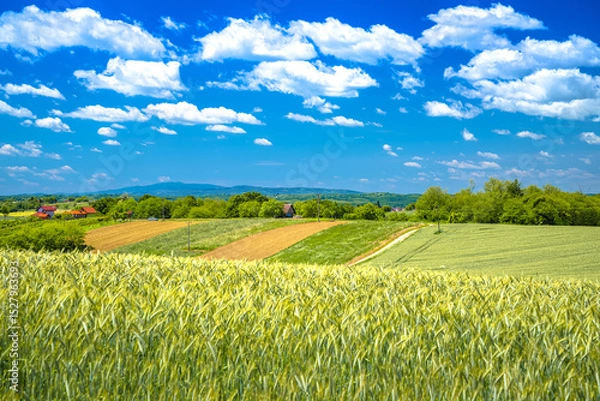 Obraz Prigorje, Croatia. Hay fields under cloudy sky view, agricultural landscape