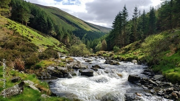 Fototapeta Rocky stream flowing through forest surrounded by pine trees and grassy hills, professional photography capturing natural landscape.
