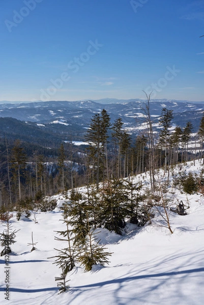 Obraz View to Beskids at Silesian Voivodeship near European Bialy Krzyz in Poland - vertical