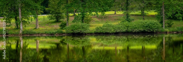 Fototapeta Panorama of park in springtime