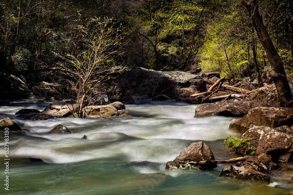 Fototapeta A slow shutter image of a river after a heavy rain shows the beauty and intricate details of a remote wilderness.