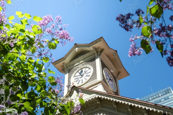 Obraz 青空と時計台 北海道札幌市