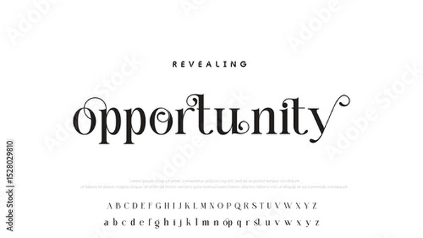 Fototapeta Luxury alphabet letters font and number. Typography elegant wedding classic lettering serif fonts decorative vintage retro concept. vector illustration