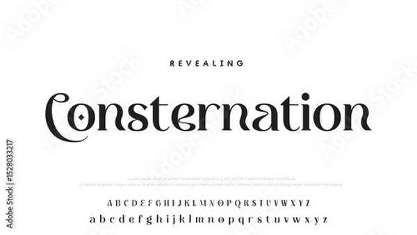 Obraz Luxury alphabet letters font and number. Typography elegant wedding classic lettering serif fonts decorative vintage retro concept. vector illustration