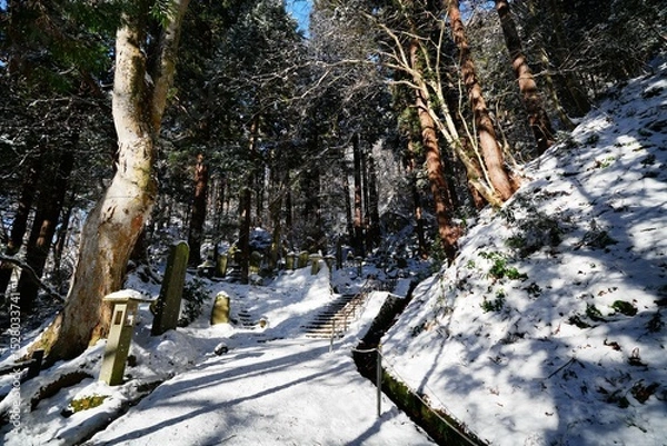 Obraz 山寺の参道