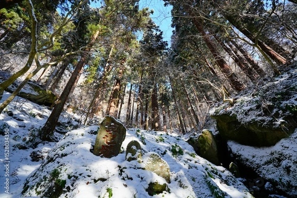 Obraz 山寺の参道