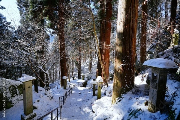 Obraz 山寺の参道