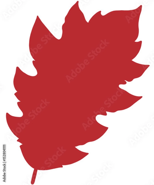 Obraz canadian maple leaf