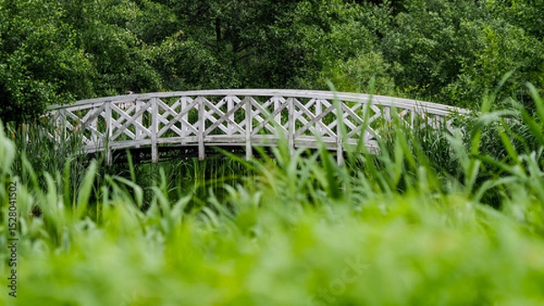 Obraz OLYMPUS DIGITAL CAMERA