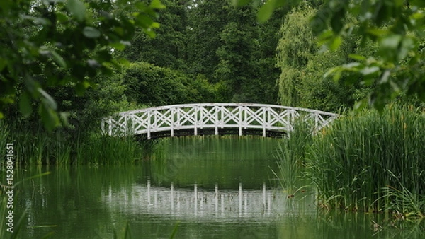 Obraz OLYMPUS DIGITAL CAMERA