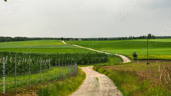 Obraz OLYMPUS DIGITAL CAMERA