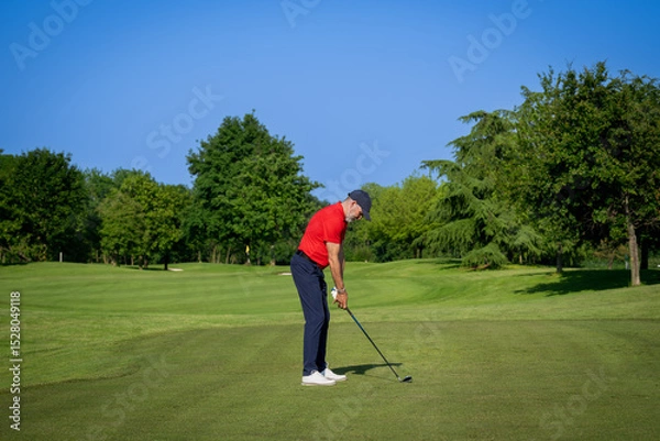 Fototapeta Golfer preparing to swing on a sunny day at the golf course
