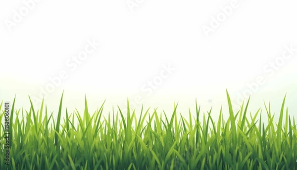 Obraz Fresh Green Grass Background Lower Section of Image