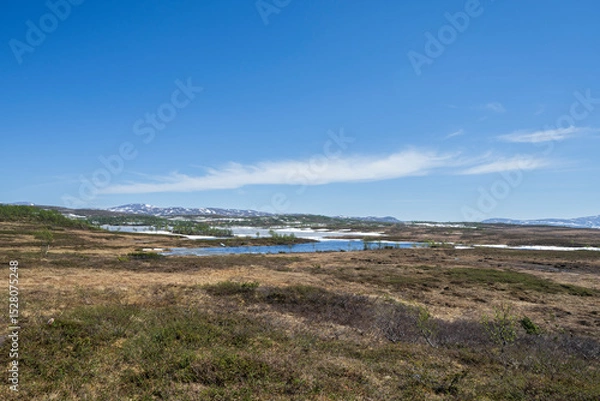 Fototapeta Spring at Rensjøen, Ålen, Trøndelag, Norway