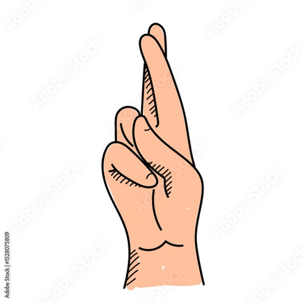 Fototapeta Hand with crossed fingers vector isolated. Hand-drawn illustration of human hand showing crossed finger as a form of good luck superstition. Hand gesture.