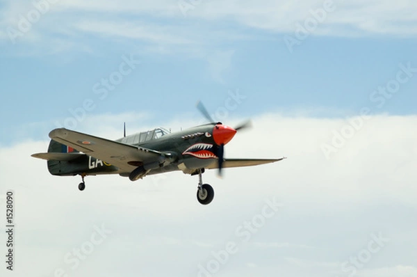Obraz curtiss p40 kittyhawk