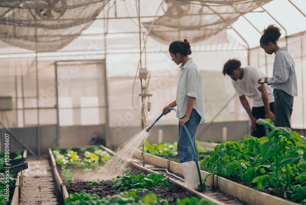 Obraz Group of young people  learning about farming, farming, and cultivation in a greenhouse.