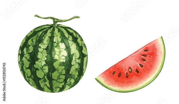 Fototapeta Adobe Illustrator Artwork