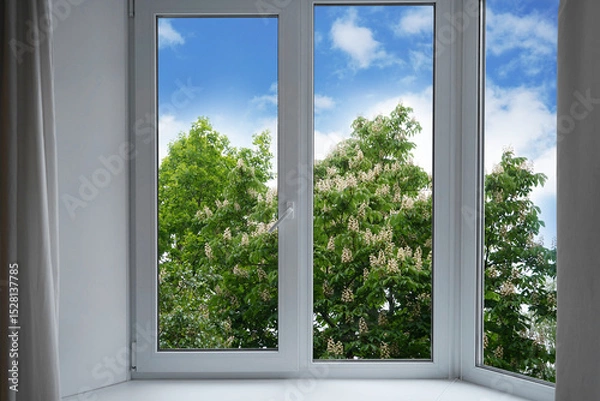 Fototapeta View from the window of a blossoming chestnut tree in the garden.