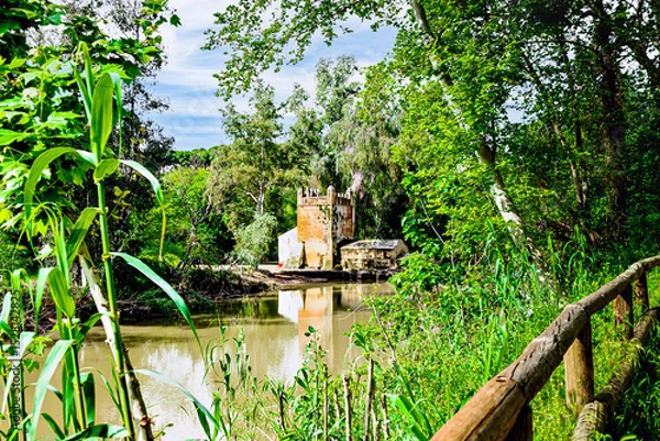 Obraz Algarrobo flour mill next to the banks of the Guadaira River, within Oromana Park in Alcalá de Guadaira, Seville	