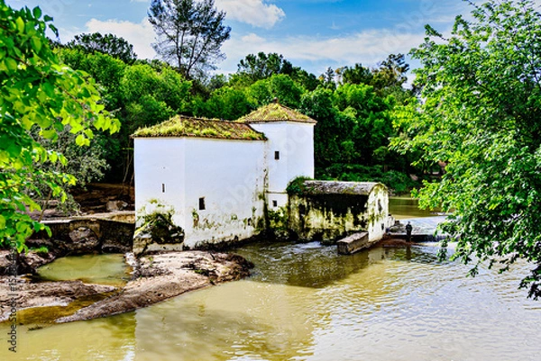 Obraz San Juan flour mill, next to the banks of the Guadaira River, within Oromana Park in Alcalá de Guadaira, Seville	