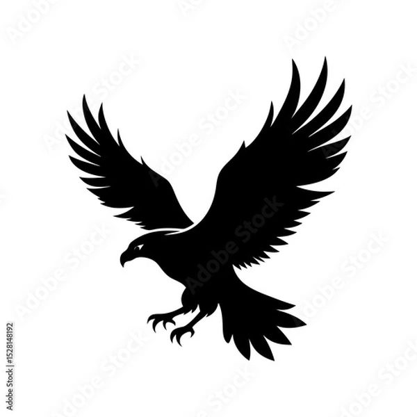 Obraz flying eagle vector art silhouette