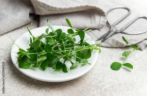 Fototapeta Fresh pea shoots on white plate with scissors and linen napkin