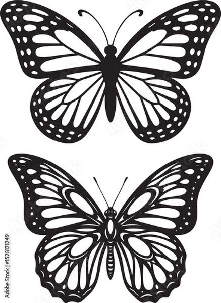 Obraz Black and White Butterfly Illustrations Elegant Vector Art of Two Intricately Designed Butterflies with Detailed Wings and Symmetrical Patterns