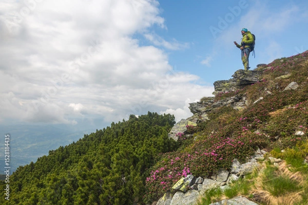 Fototapeta Mountaineer with backpack and poles climbing steep rocky slope in foggy conditions, contrasted by colorful wildflower meadow in foreground