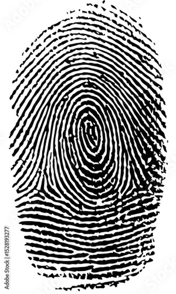 Obraz Single fingerprint unique identity crime scene vector illustration