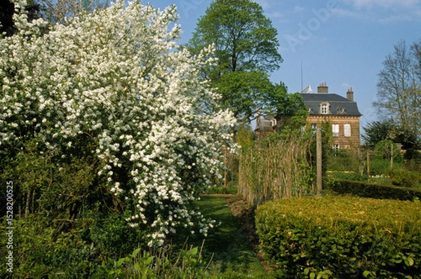 Obraz Aubepine, Jardin floral, Chateau de Digeon, 80, Somme, France