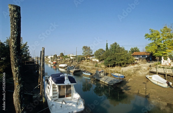 Obraz Huitre, Ostrea edulis, Port ostreicole, La Tremblade, 17, Charente Maritime, France