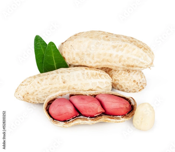 Obraz Peanuts isolated on a white background