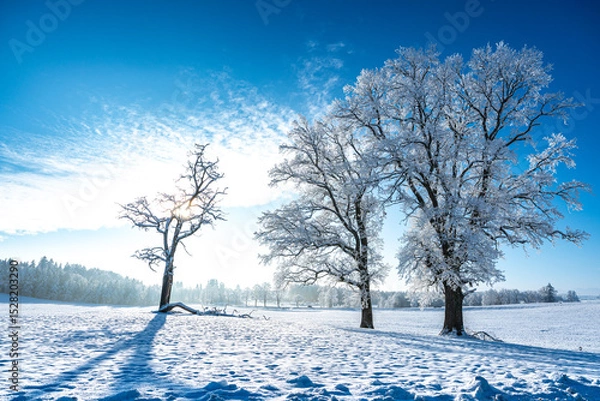 Obraz Winterlandschaft 