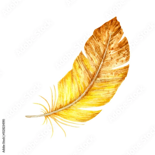 Fototapeta Watercolor illustration of a single yellow-brown feather with soft texture and curved shape. Suitable for boho-themed designs, natural compositions, and seasonal decorations.