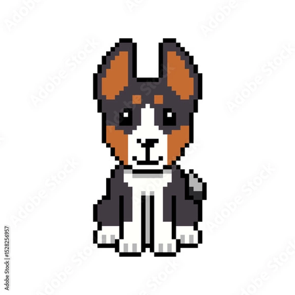 Obraz Pixel art cute basenji dog vector in retro style