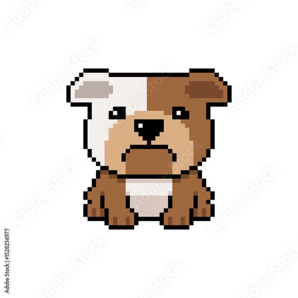 Obraz Pixel art cute bulldog vector in retro style