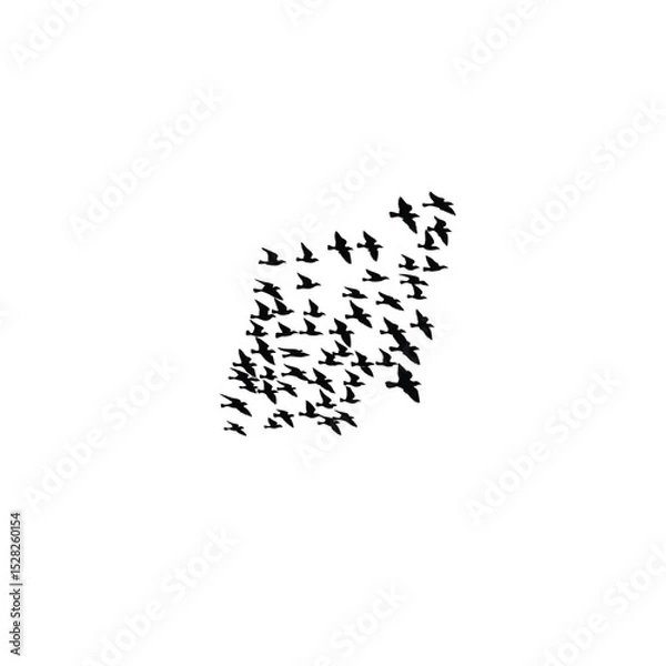 Obraz A flock of sparrows silhouetted against the morning sun on white background