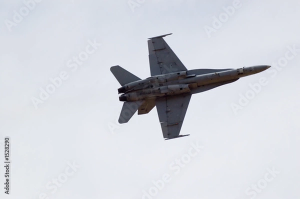 Obraz f/a-18 hornet undercarriage