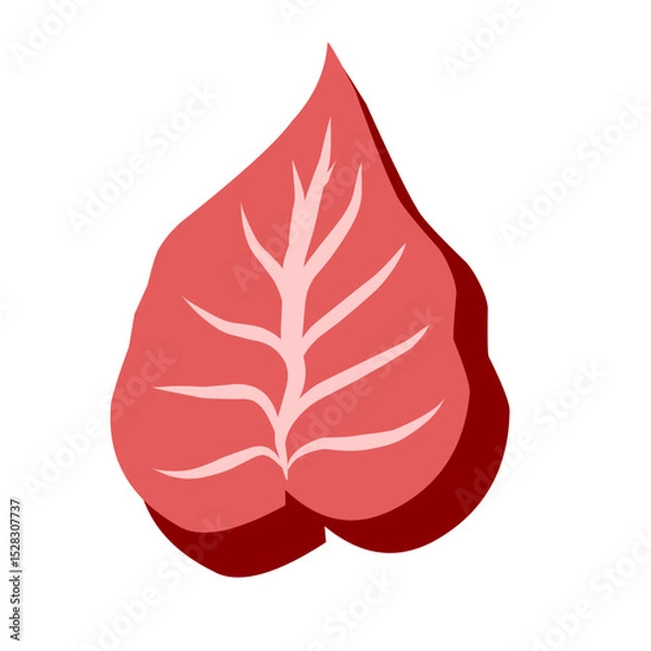 Fototapeta Stylized botanical form with pronounced shadow on a stark monochrome background