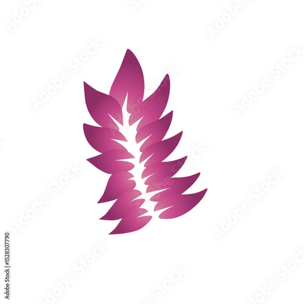 Fototapeta Abstract magenta floral arrangement isolated on a stark black backdrop design