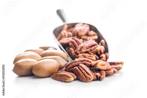 Fototapeta Peeled pecan nuts  in scoop isolated on white background.