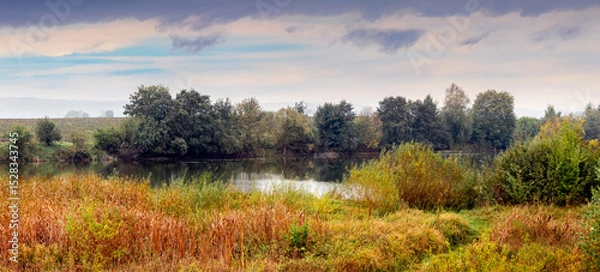 Fototapeta Autumn river landscape with reeds in the foreground and a forest on the horizon under a cloudy sky