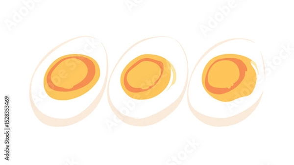 Fototapeta Sliced Boiled Egg Vector Illustration Isolated on White Background